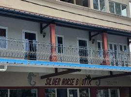 Silver Horse, hotel in Palmar