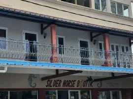 Silver Horse