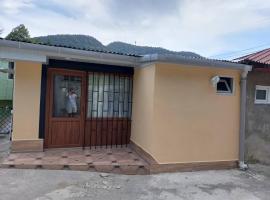 Davids entire place, pet-friendly hotel in Borjomi