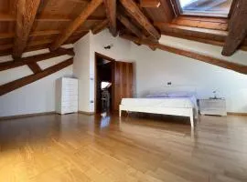 Visentin - Meraviglioso attico in legno