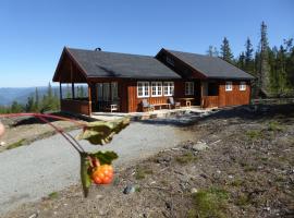 Ny hytte i flott turterreng, hotel perto de Rollag Stave Church, Nore