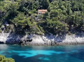Secluded fisherman's cottage Cove Bacva, Korcula - 9475