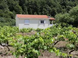 Apartments with parking space Trstenik, Peljesac - 10109