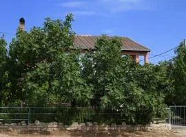 Apartments by the sea Gornji Karin, Novigrad - 11806