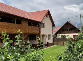 Casa Monica, vacation rental in Drăguş