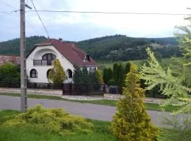 Boltíves Vendégház