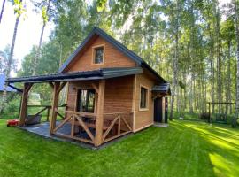 Pod Brzozą, vacation rental in Łuka