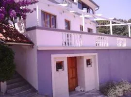 Apartments by the sea Sali, Dugi otok - 12492