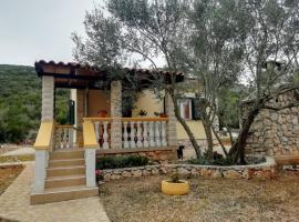 Secluded holiday house Cove Nevidjansko Polje, Pasman - 12806, hotel in Neviđane