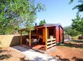 Seaside secluded apartments Biograd na Moru, Biograd - 12827
