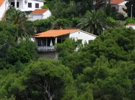 Seaside holiday house Postira, Brac - 13001