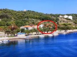 Apartments by the sea Vis - 13169