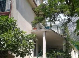 Apartments with parking spaces Gradac, Makarska - 13196
