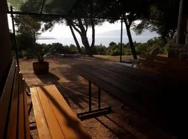 Secluded house with a parking space Cove Borova, Hvar - 13526