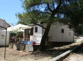 Seaside holiday house Zatoglav, Rogoznica - 13540