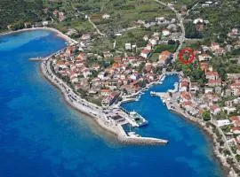 Apartments by the sea Sucuraj, Hvar - 14736