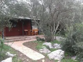 Secluded fisherman's cottage Cove Komornik, Pasman - 14801