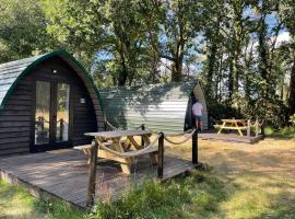 Nuthatch Cabin at Cloudshill Glade, hotel in Wareham