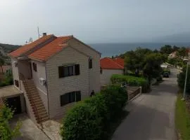 Apartments with a parking space Splitska, Brac - 15197