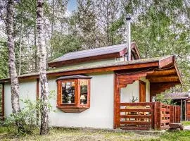 Cozy Home In Drzonowo With Sauna