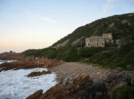 Buccara Noetzie - Lindsay Castle