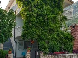 Apartments with a parking space Podaca, Makarska - 312