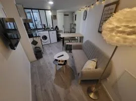 Superbe appartement T2 centre historique
