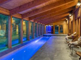 Bear Lodge with private Pool, Hottub, and Sauna!, hotel v Hailey