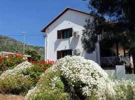 Apartments by the sea Zavala, Hvar - 594