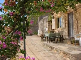 Seaside holiday house Grscica - Korcula - 626