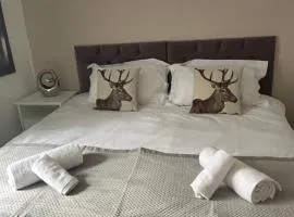 1 BR Apartment in old town (Nicolson Street)