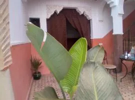 Riad 9 Derb El Bousnne