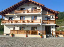 Pensiunea Sofia, guest house in Onceşti