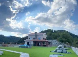 Pelendri Falcon Hills Villa