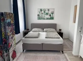 Gesamte Unterkunft im Zentrum von Wien Top 27