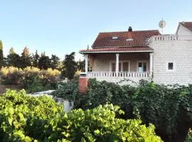 Apartments with parking space Mirca, Brac - 2838