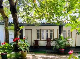drongo place