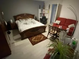 1 Chambre chez l habitant, 1 à 4 pers, Park ext, TAXI VTC 6places disponibles
