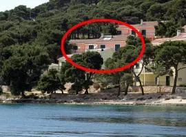 Apartments by the sea Rogoznica - 3200