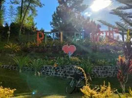 Reel Place