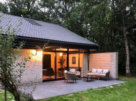 Vrijstaande luxe vakantiewoning met grote tuin, veel privacy en prachtige natuur, villa i Geesbrug