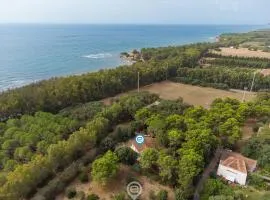 Casa Flamingo