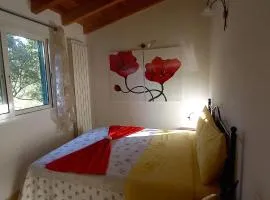 Il Rifugio Di Artemide AGRITURISMO