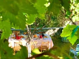 Mountain Home Inn-Guesthouse