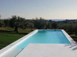 Monte Falperras