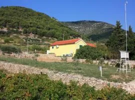 Apartments with a parking space Bol, Brac - 5642