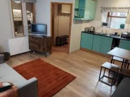 self contained flat in Llanfyllin Powys