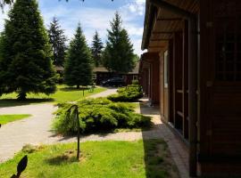 AB Domki całoroczne nad jeziorem，位于Stęszew的度假村