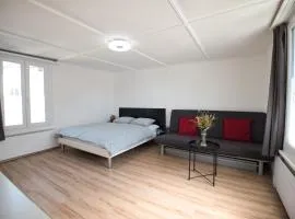 Lake Getaway Apartment with Private entrance, right on the Lake Constance cycle path, barbecue area, free wifi, Netflix and free bikes