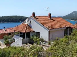 Apartments by the sea Brgulje, Molat - 6243
